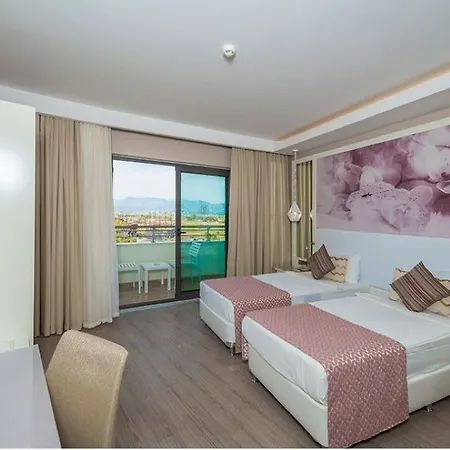 Diamond Premium & - Ultra