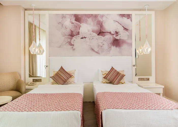 Diamond Premium & - Ultra 5*