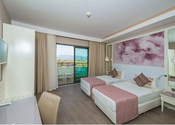 Diamond Premium & - Ultra