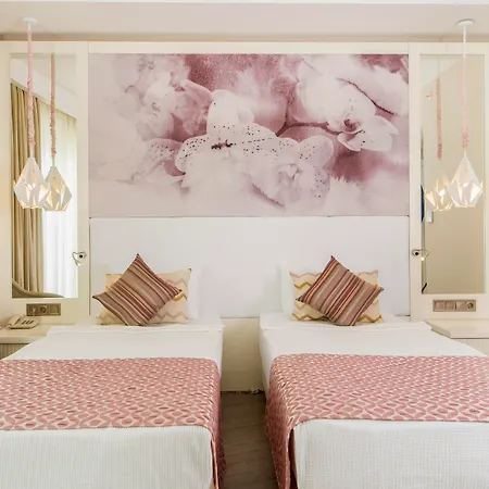 Diamond Premium & - Ultra 5*